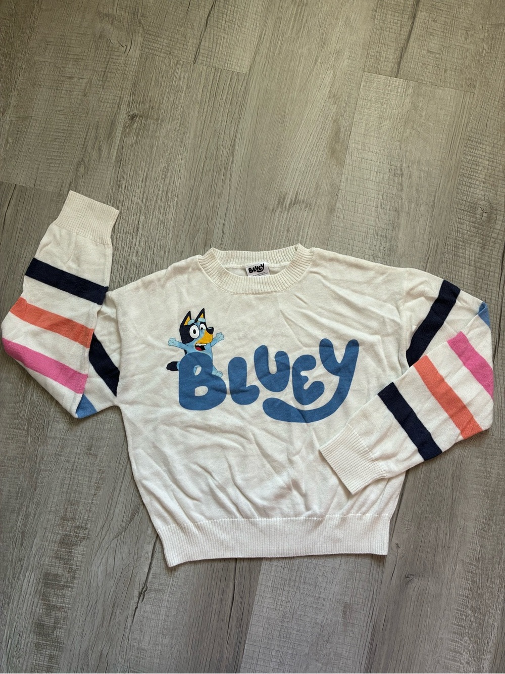 Bluey Graphic Sweater - White with Blue, Pink & Coral Stripes